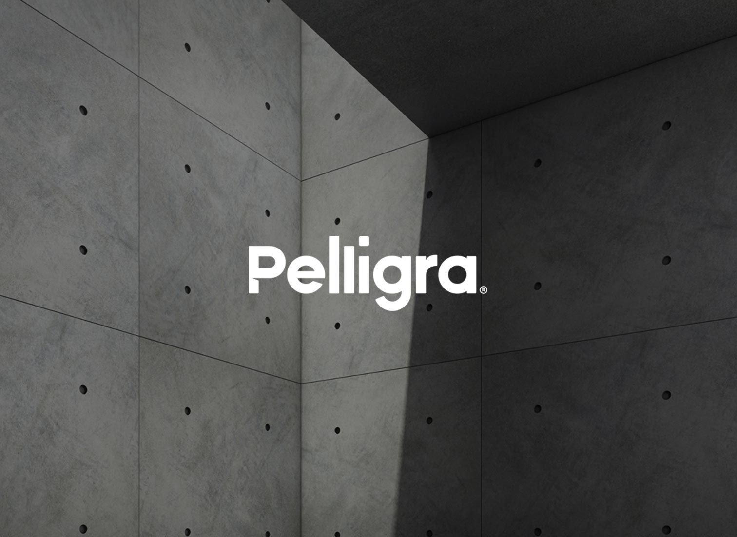Pelligra Offices - Coming Soon